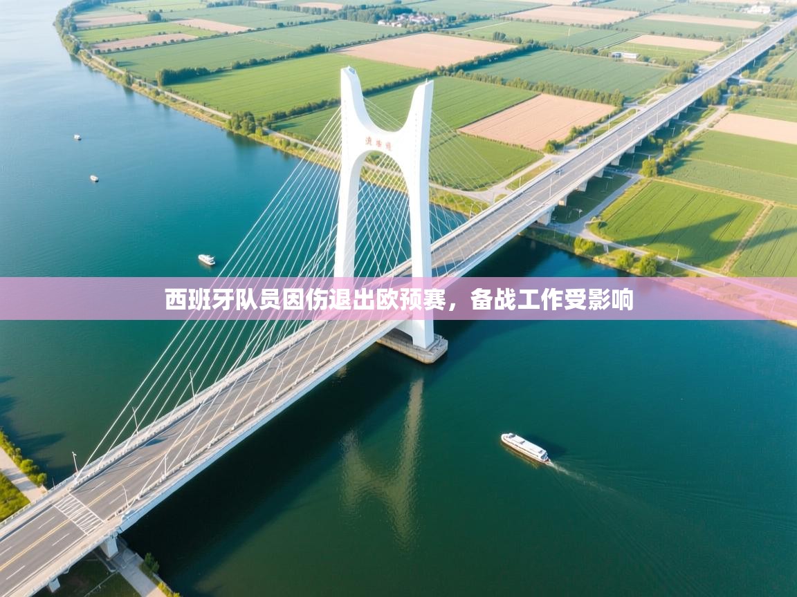 西班牙队员因伤退出欧预赛，备战工作受影响  第1张