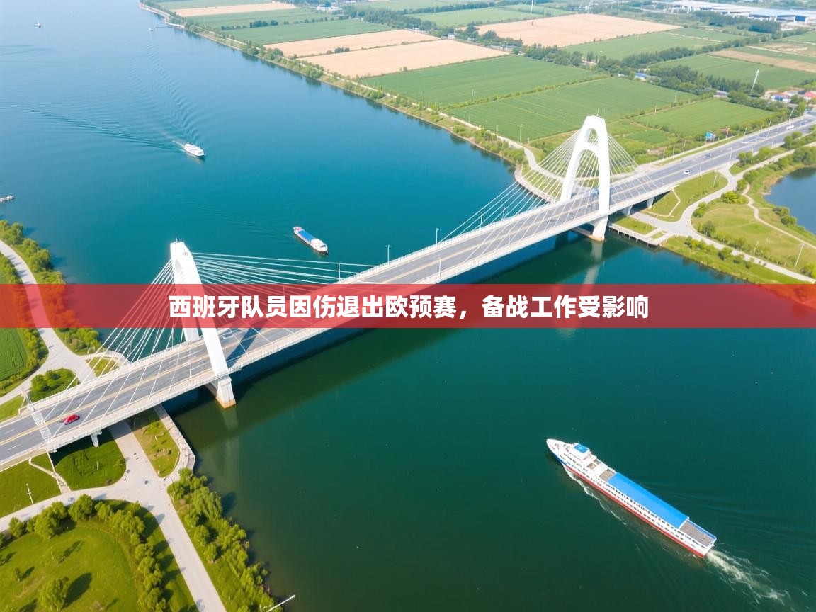 西班牙队员因伤退出欧预赛，备战工作受影响  第2张