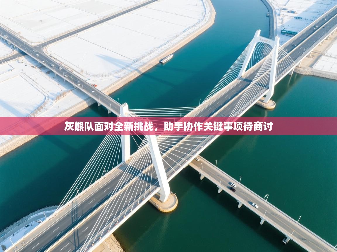 灰熊队面对全新挑战,助手协作关键事项待商讨 第1张