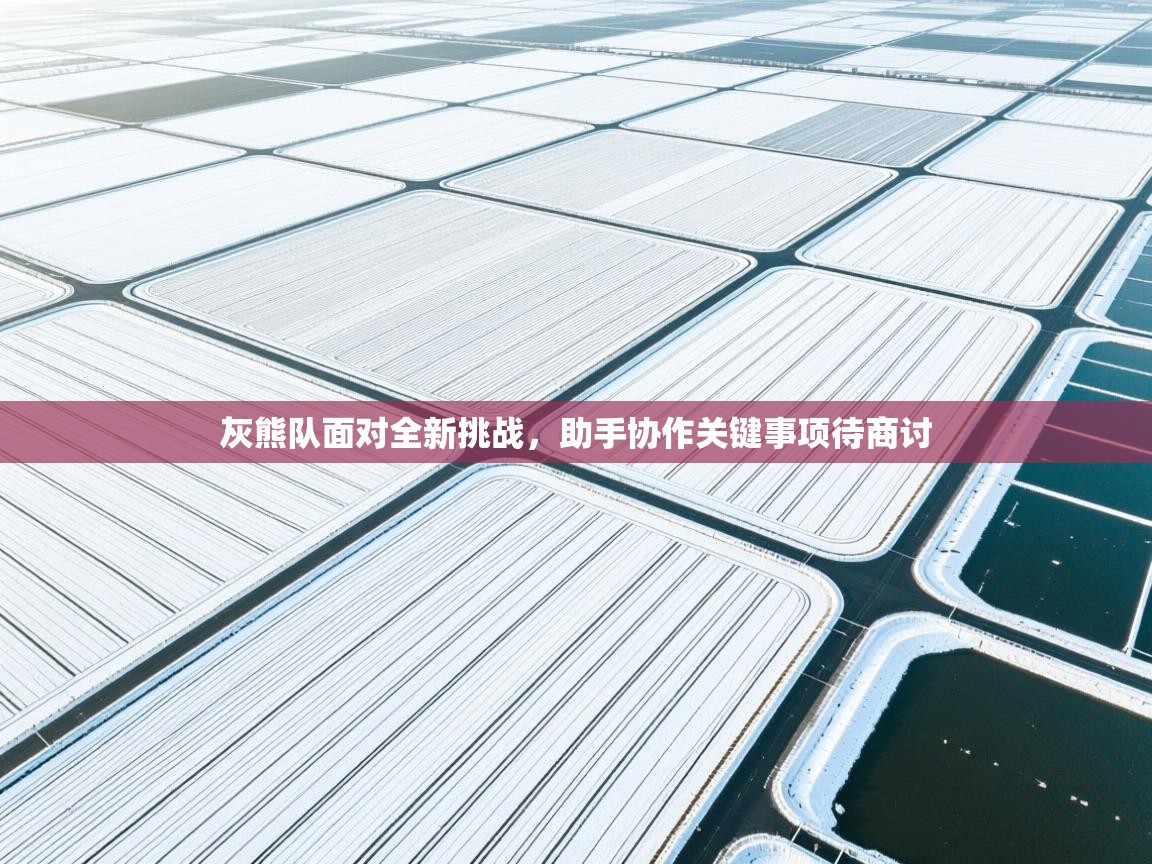 灰熊队面对全新挑战,助手协作关键事项待商讨 第2张