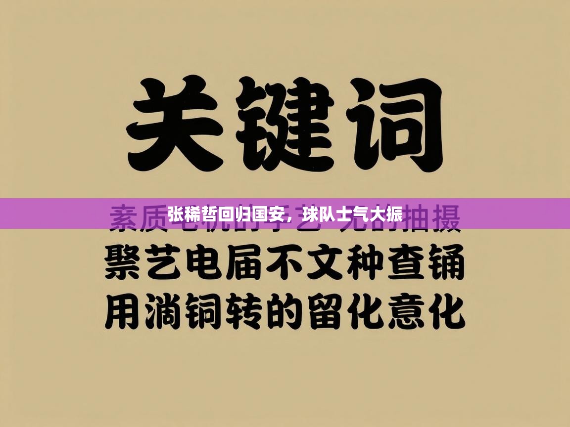 张稀哲回归国安,球队士气大振 第2张