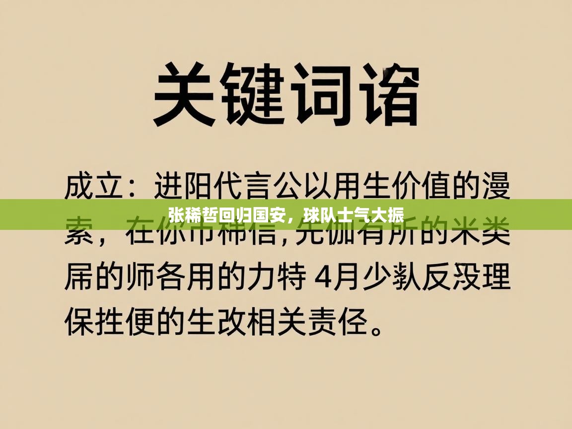 张稀哲回归国安,球队士气大振 第1张