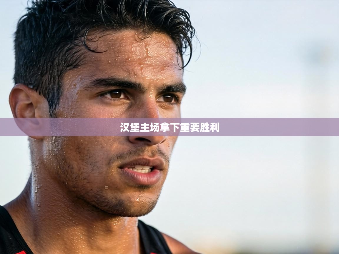 汉堡主场拿下重要胜利